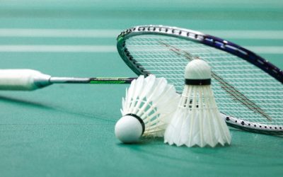Medobčinsko tekmovanje v badmintonu