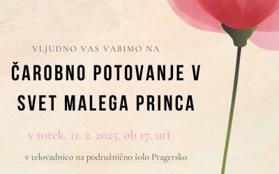 ČAROBNO POTOVANJE V SVET MALEGA PRINCA
