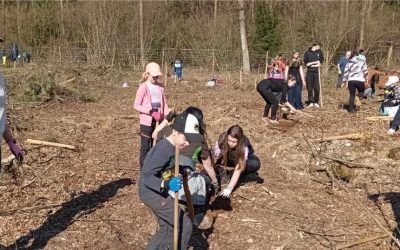 Skupaj za naravo – Pomladimo gozdove! 🌱🌍