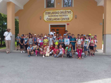 cebele-2