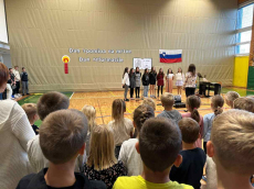 image_50417153