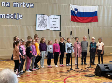 image_50740737