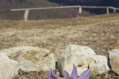 Planinci na Boču