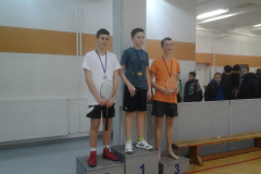 Področnem tekmovanju v badmintonu