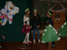 img_3145_medium1