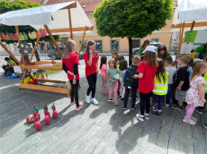 image_50447617