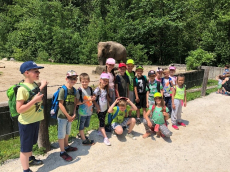 zoo2