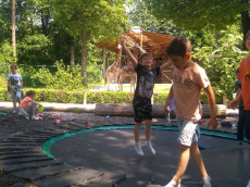 zoo3