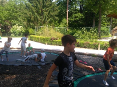 zoo4
